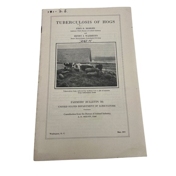 1917 Tuberculosis Of Hogs Farmers Bulletin 781 Antique USDA Publication - Picture 1 of 4